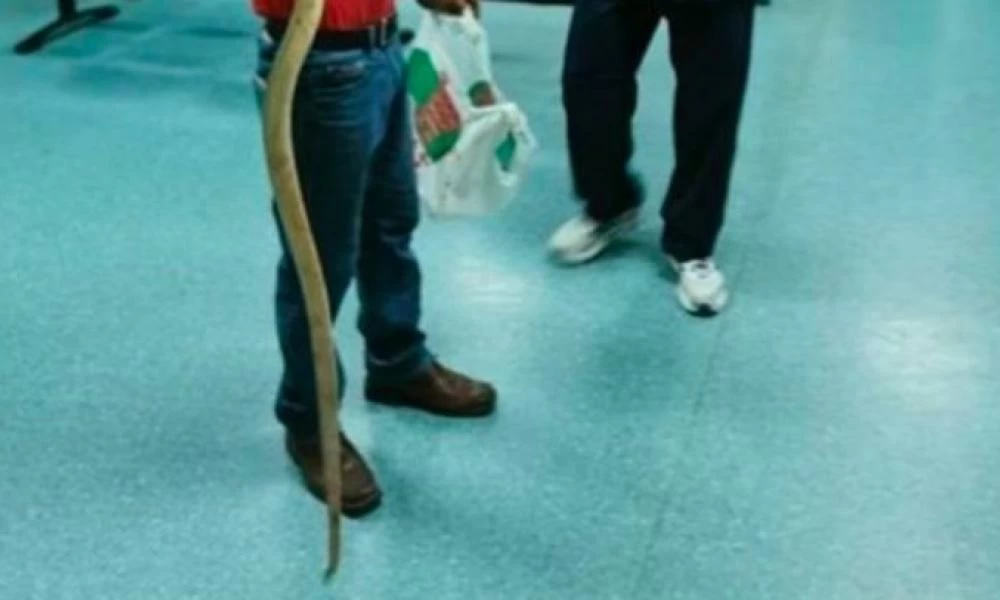 Τον δάγκωσε φίδι και το πήρε μαζί του στο Κέντρο Υγείας!